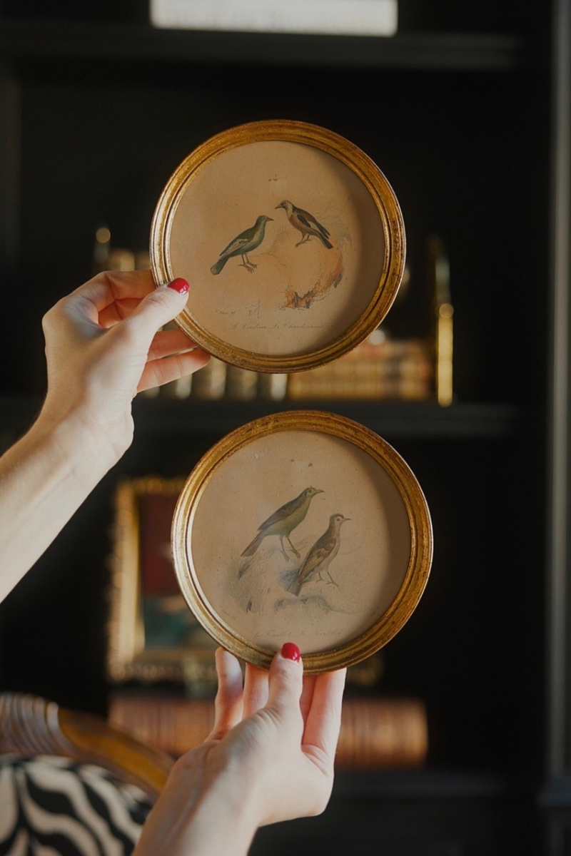 Pair of Framed French Bird Study Prints