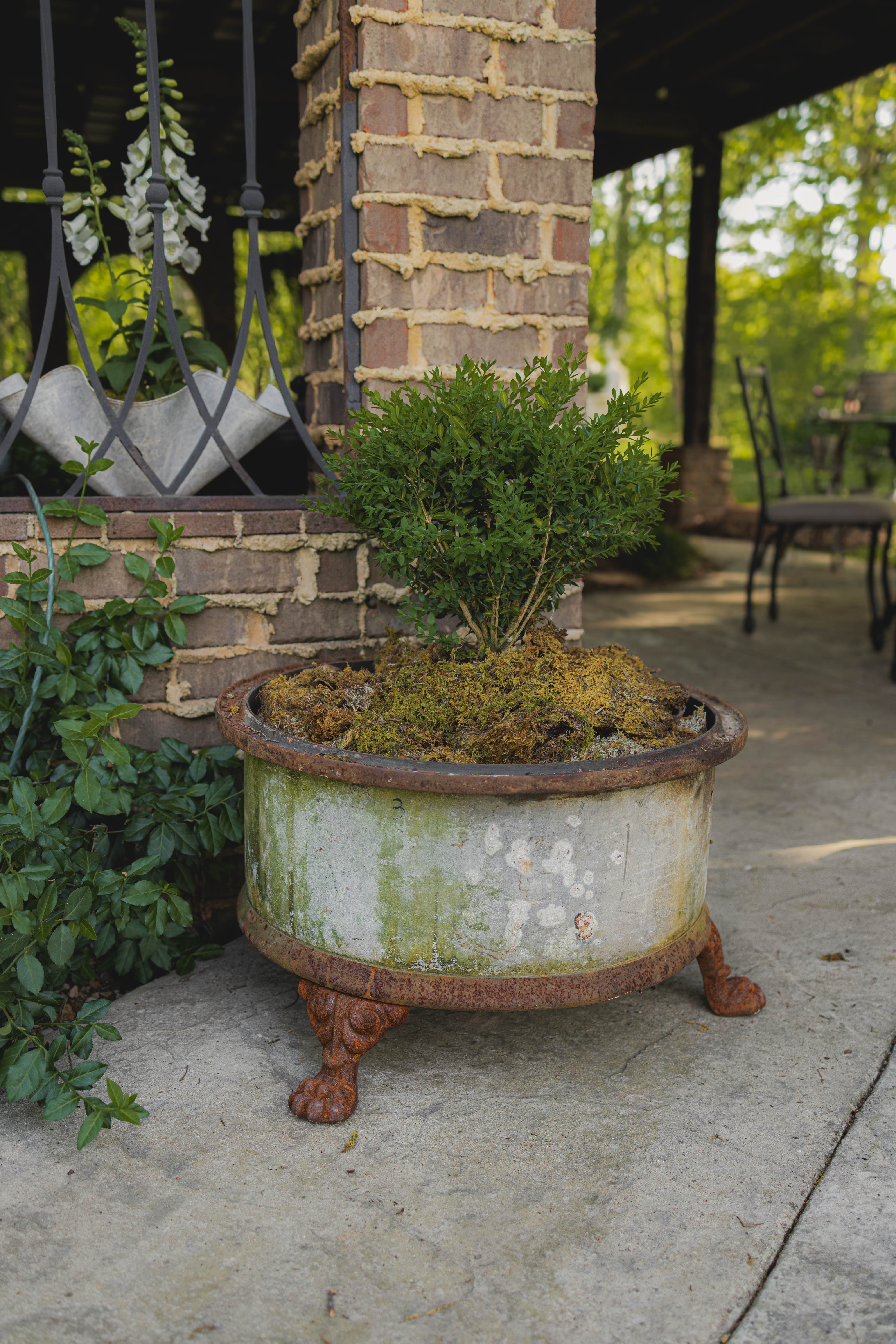 Antique Reclaimed Claw Foot Oil Barrel Planters