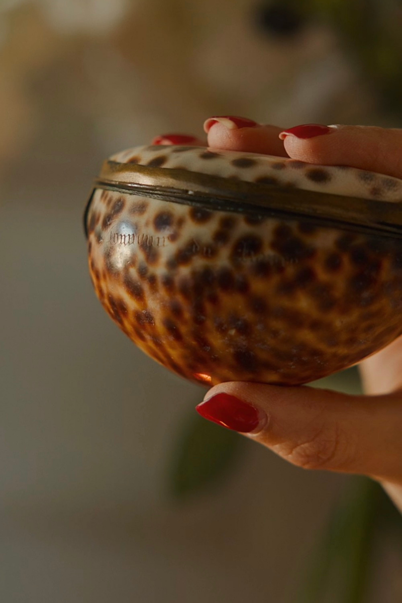 Inscribed Tiger Cowrie Shell Keepsake Box