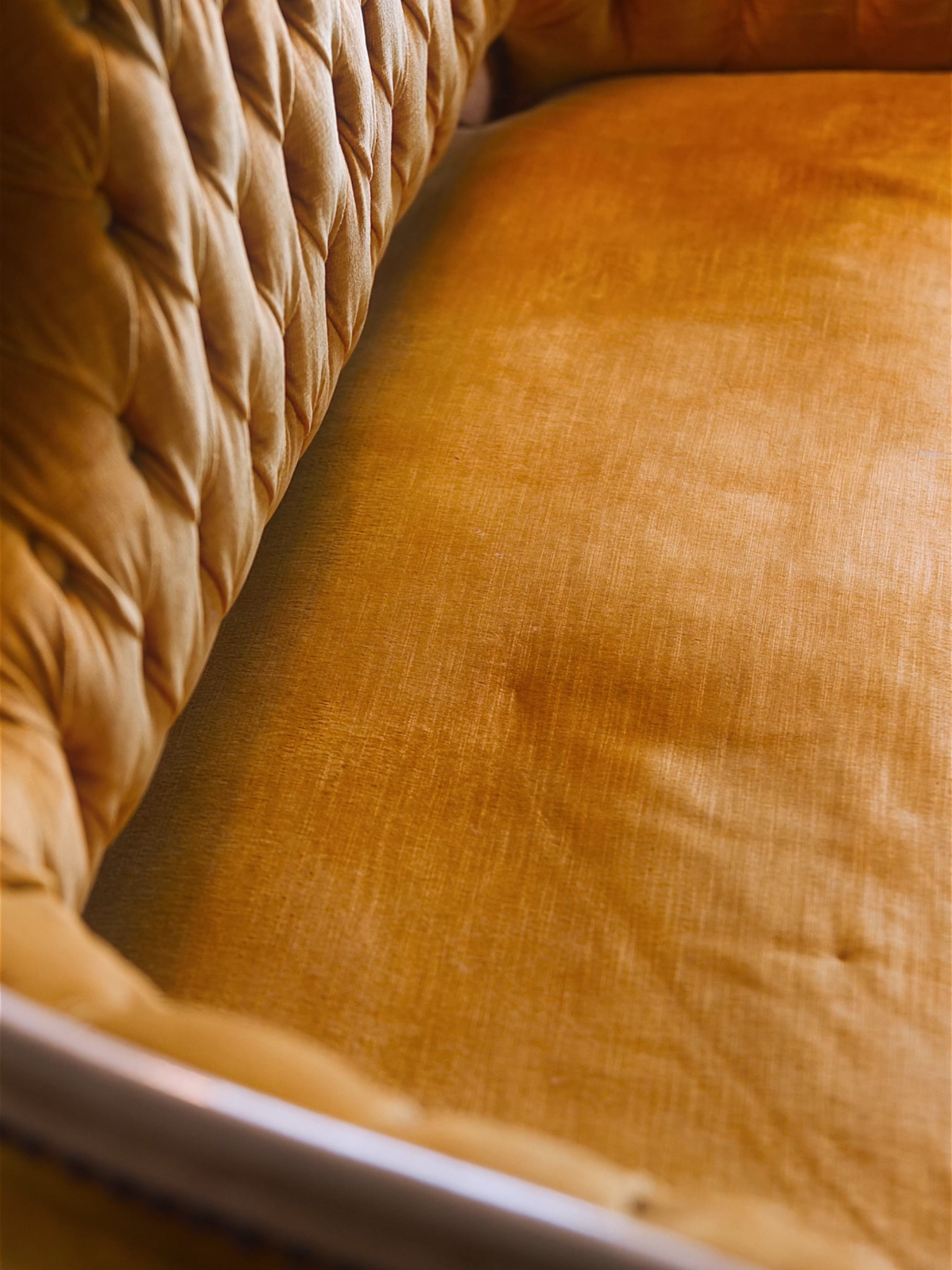 Petite French Settee in Golden Velvet