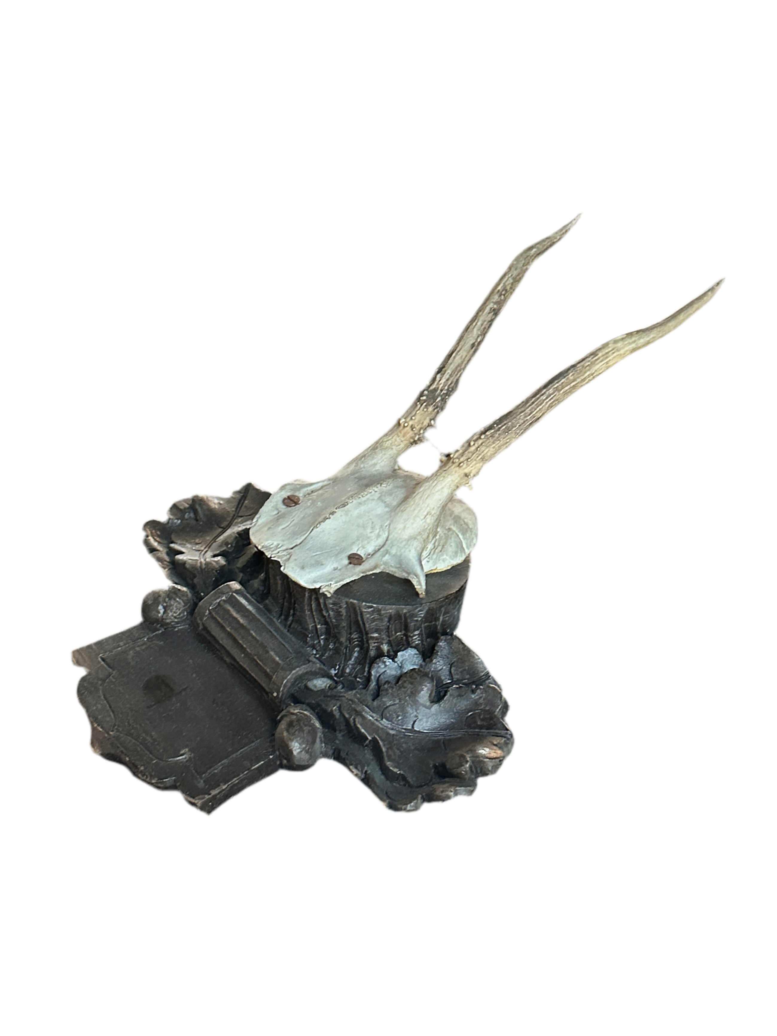 Black Forrest Hunting Trophy - 2