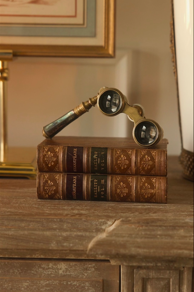 19th C. French Abalone Opera Glasses