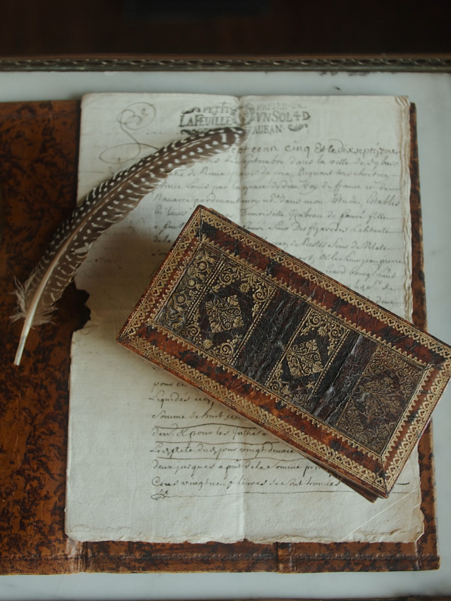19th Century Leather Ink Blot