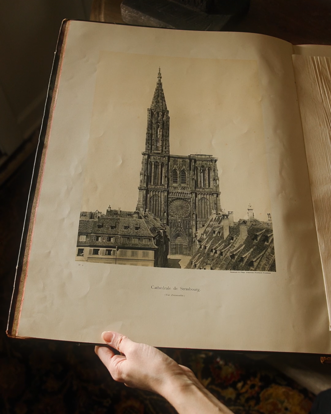 Late 19th Century French Architectural Folio — La Cathédrale de Strasbourg, by L. Dacheux