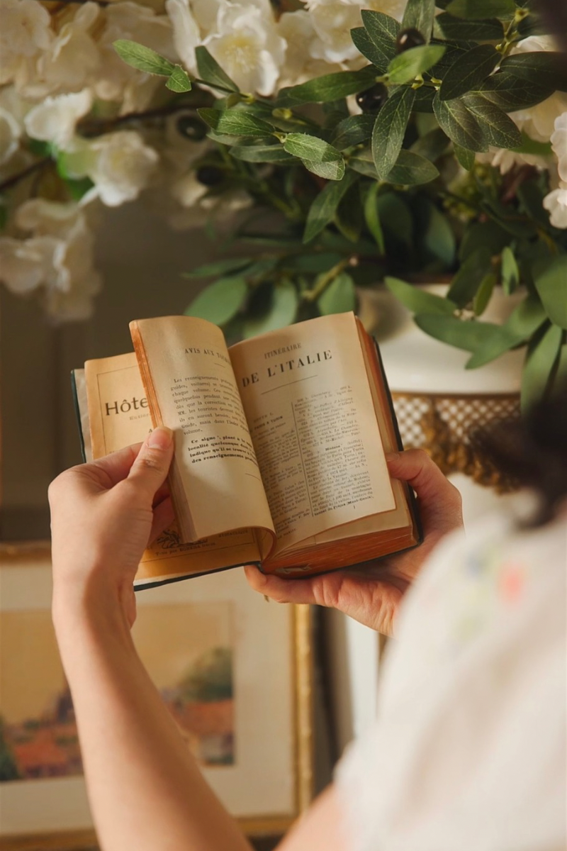 19th Century “Guides Joanne – Italie” Travel Guide (Hachette)