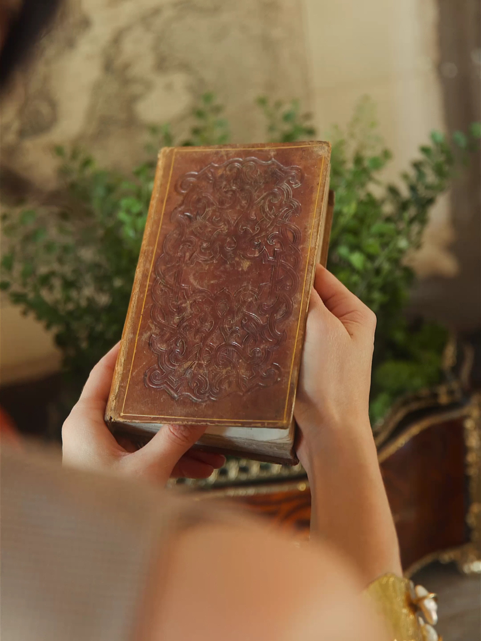 “Histoire Naturelle des Oiseaux, Reptiles et des Poissons” — 1841 French Natural History Volume