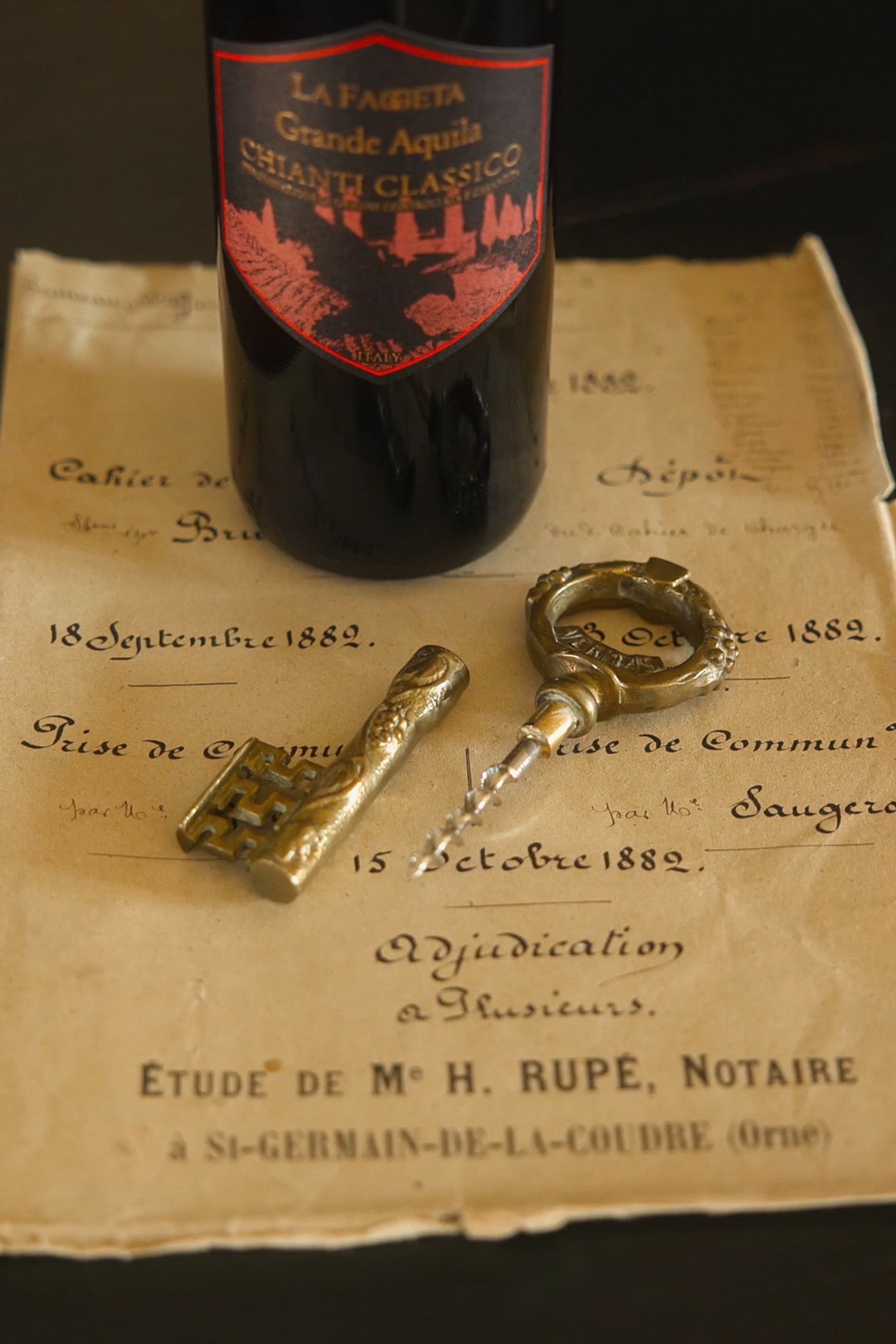 19th C. French Brass Vine Detailed Corkscrew