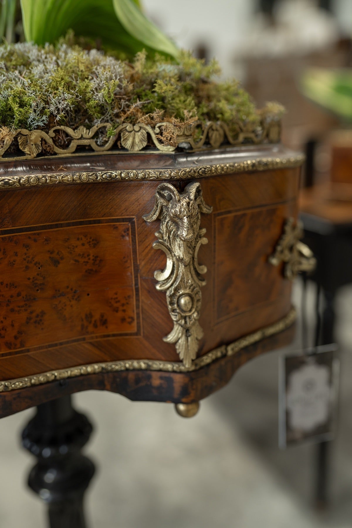 19th C. Napoleon III Walnut & Ebonized Jardinere Pedestal Stand
