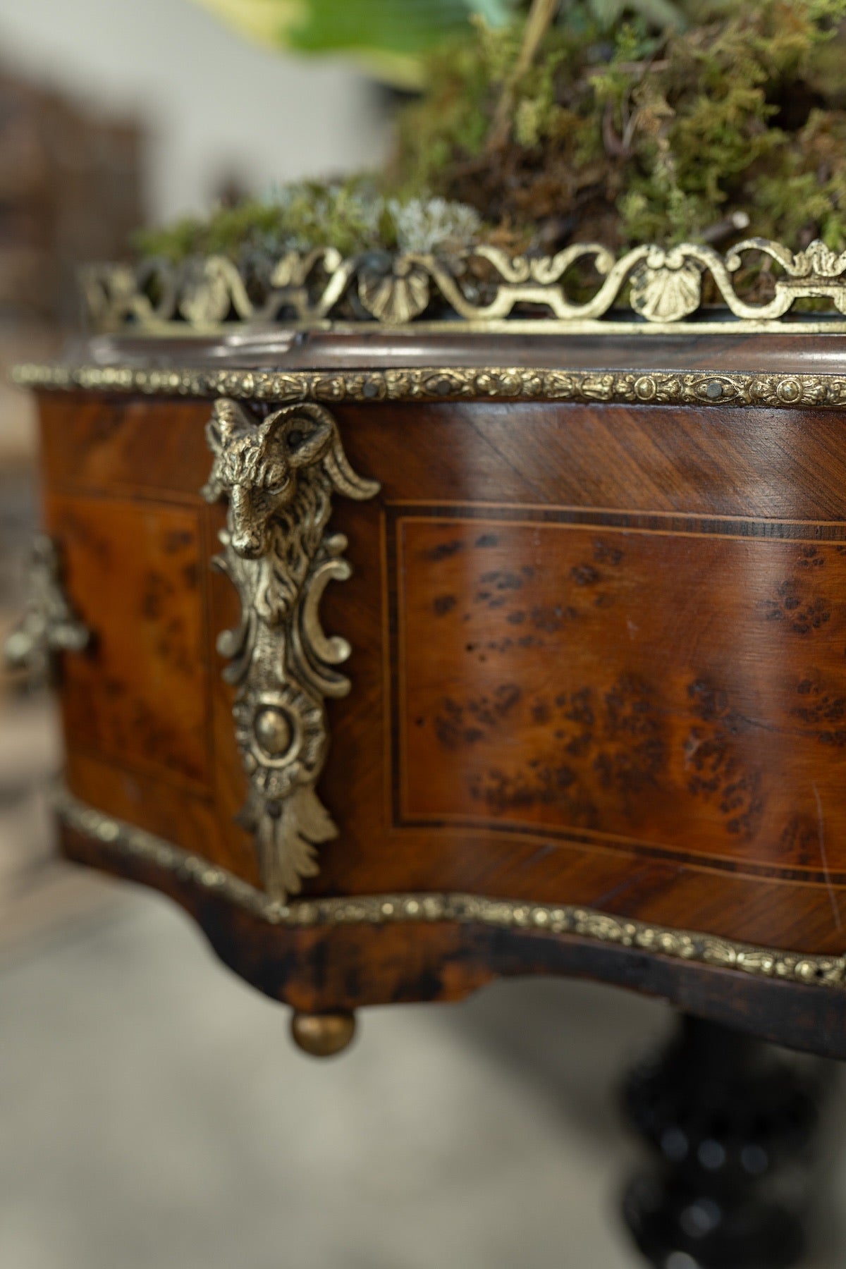 19th C. Napoleon III Walnut & Ebonized Jardinere Pedestal Stand