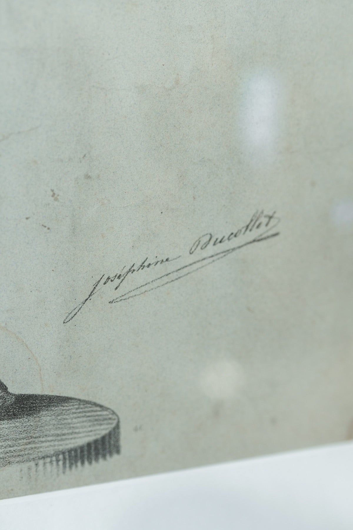 Collection of Eleven Classical Figure Studies