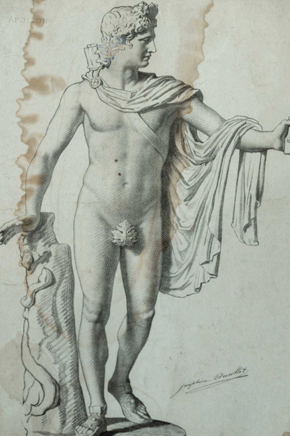Collection of Eleven Classical Figure Studies