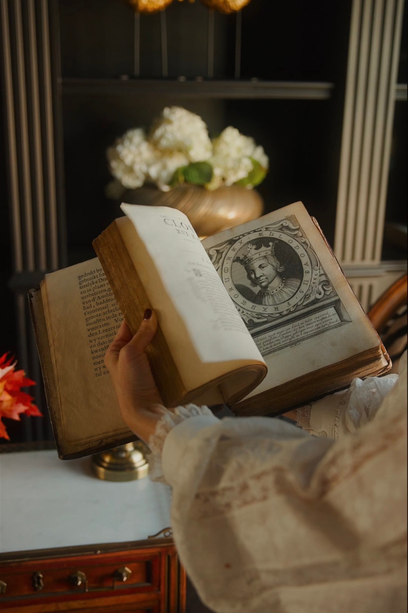1685 Chronicle of France — Illustrated Dutch Edition