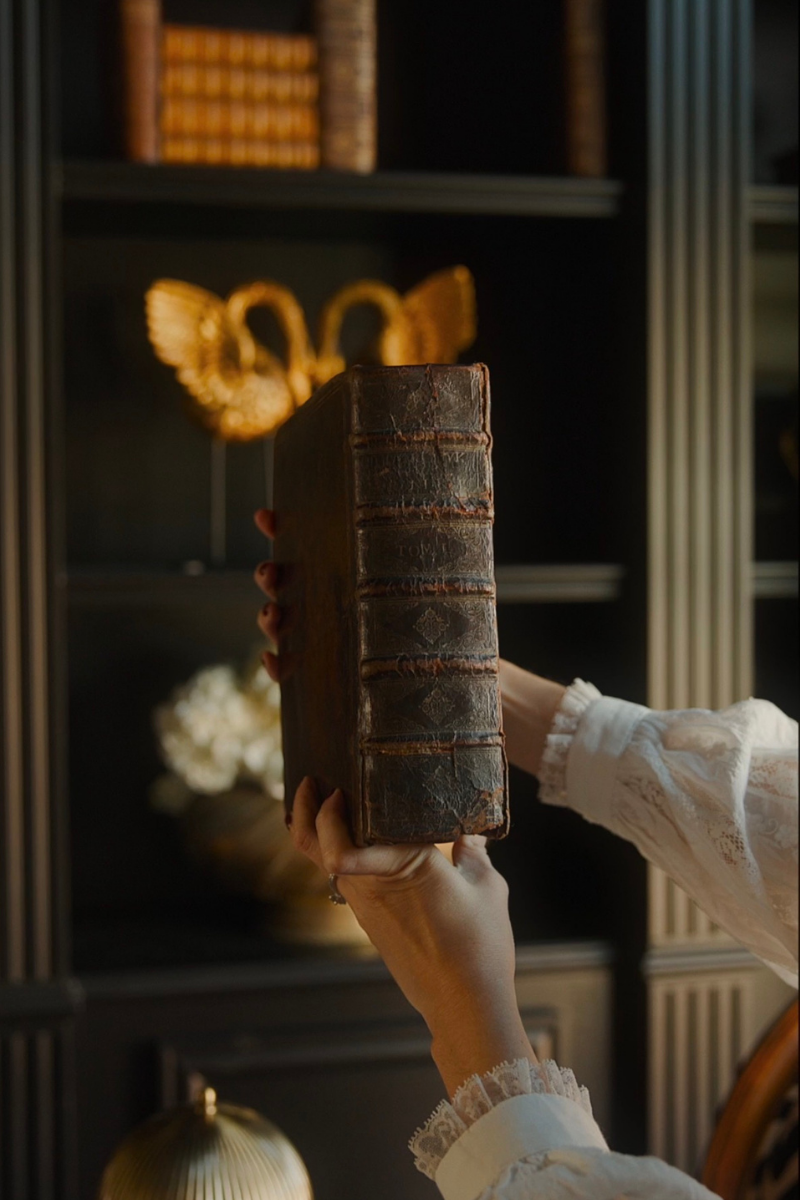 1685 Chronicle of France — Illustrated Dutch Edition