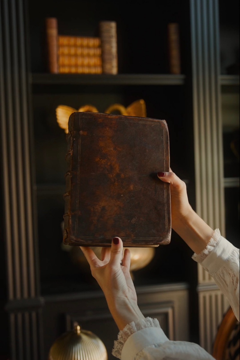 1685 Chronicle of France — Illustrated Dutch Edition